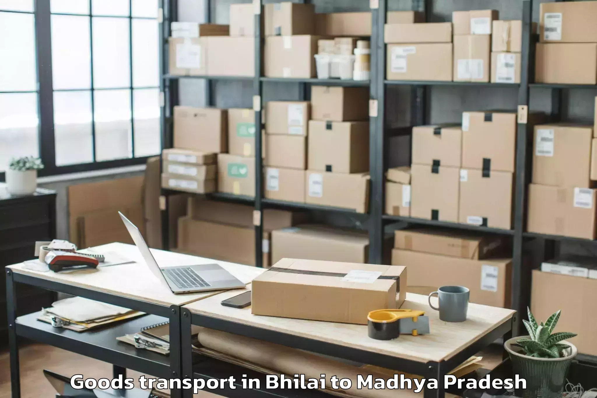 Book Your Bhilai to Mauganj Goods Transport Today